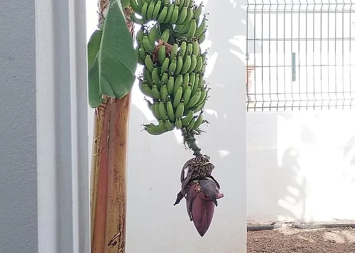 House At Sunny Tenerife * Arona